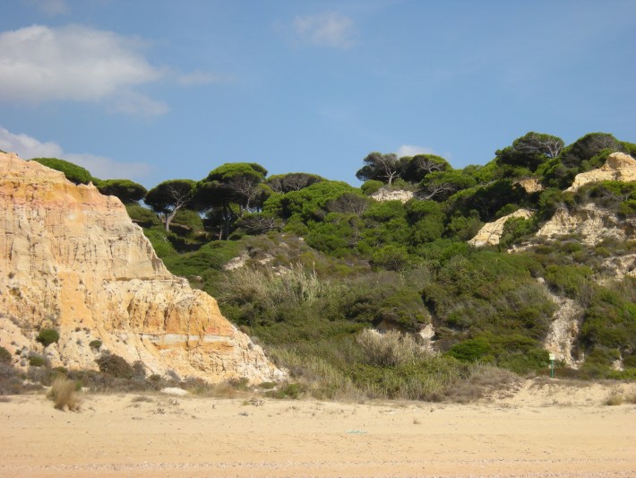 ciudesp-09-Huelva-02- dunas