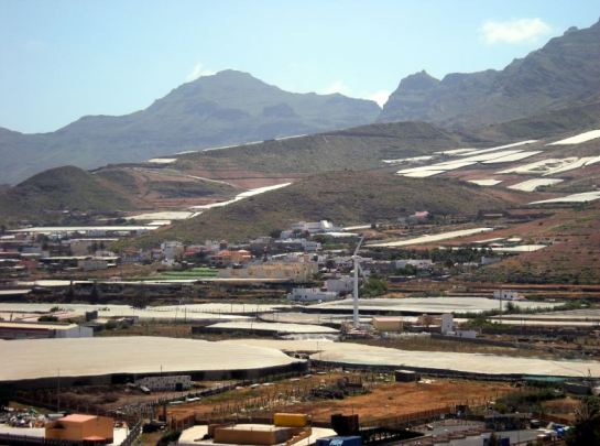 Comida- San Nicolas1