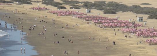 Counting umbrellas on the sand is far from being a tested methodology...