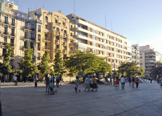 The trees over the parking slab