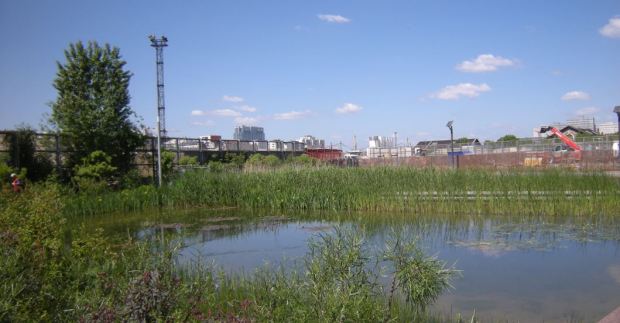 A part of the new ponds