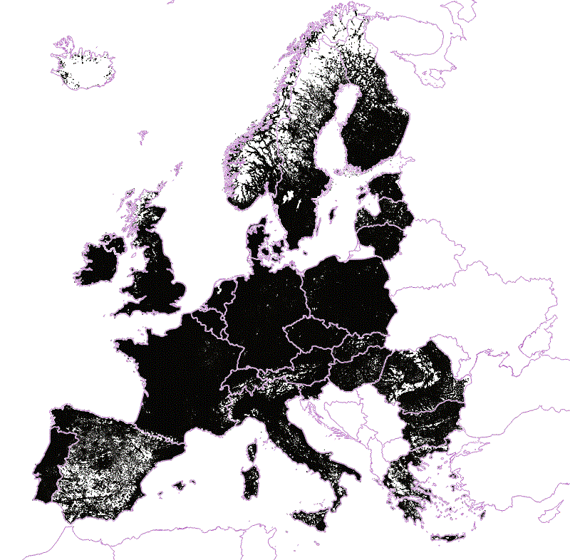 teselas pobladas EURO 2006